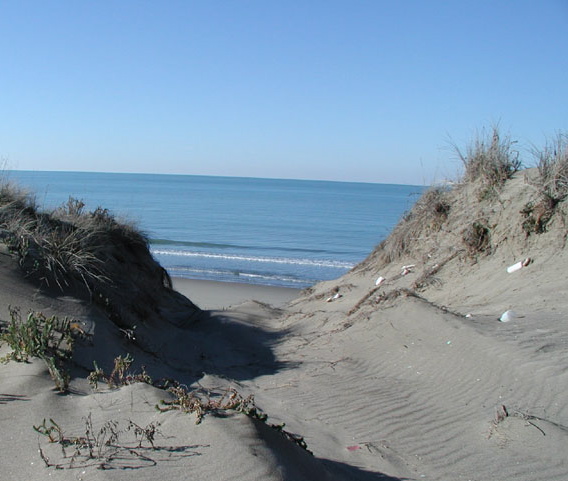 Spiaggia-800