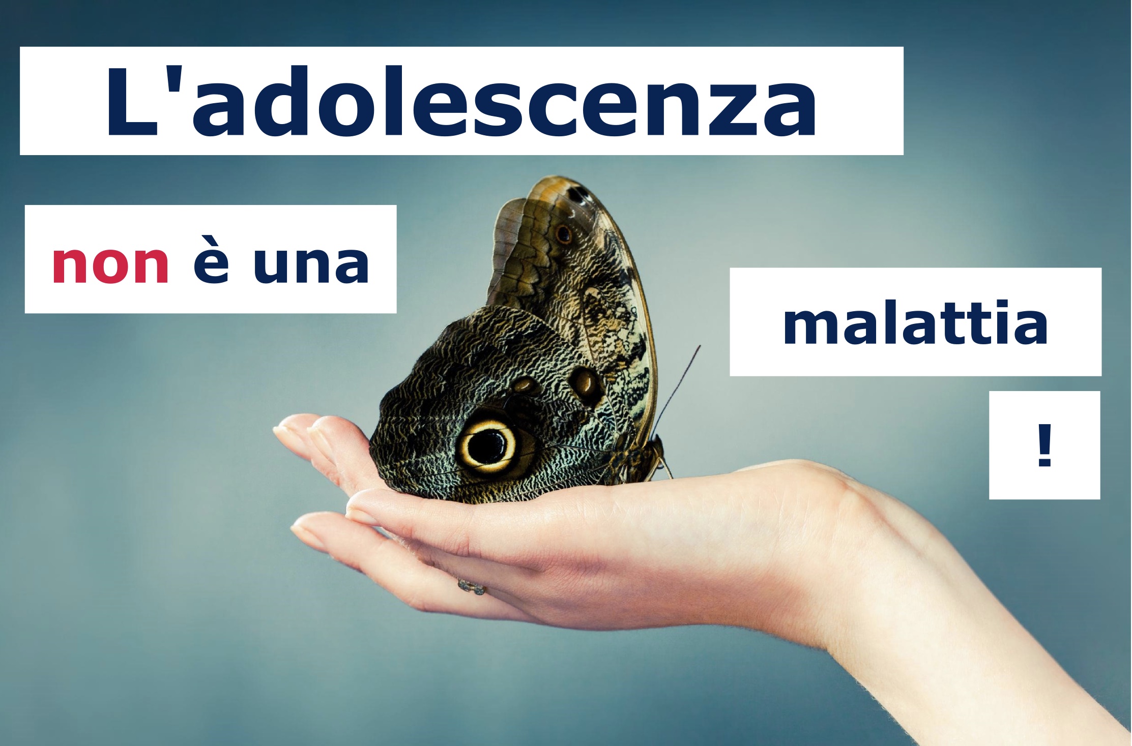 adolescenz anon è una malattia copia