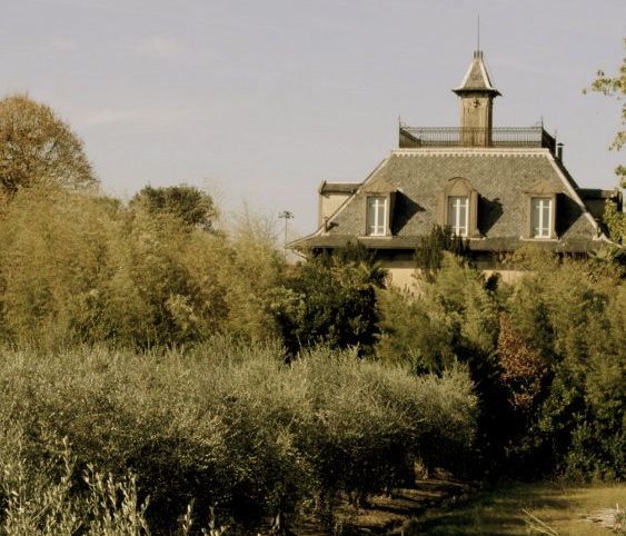 Villa Isnard - Caterina Pomini