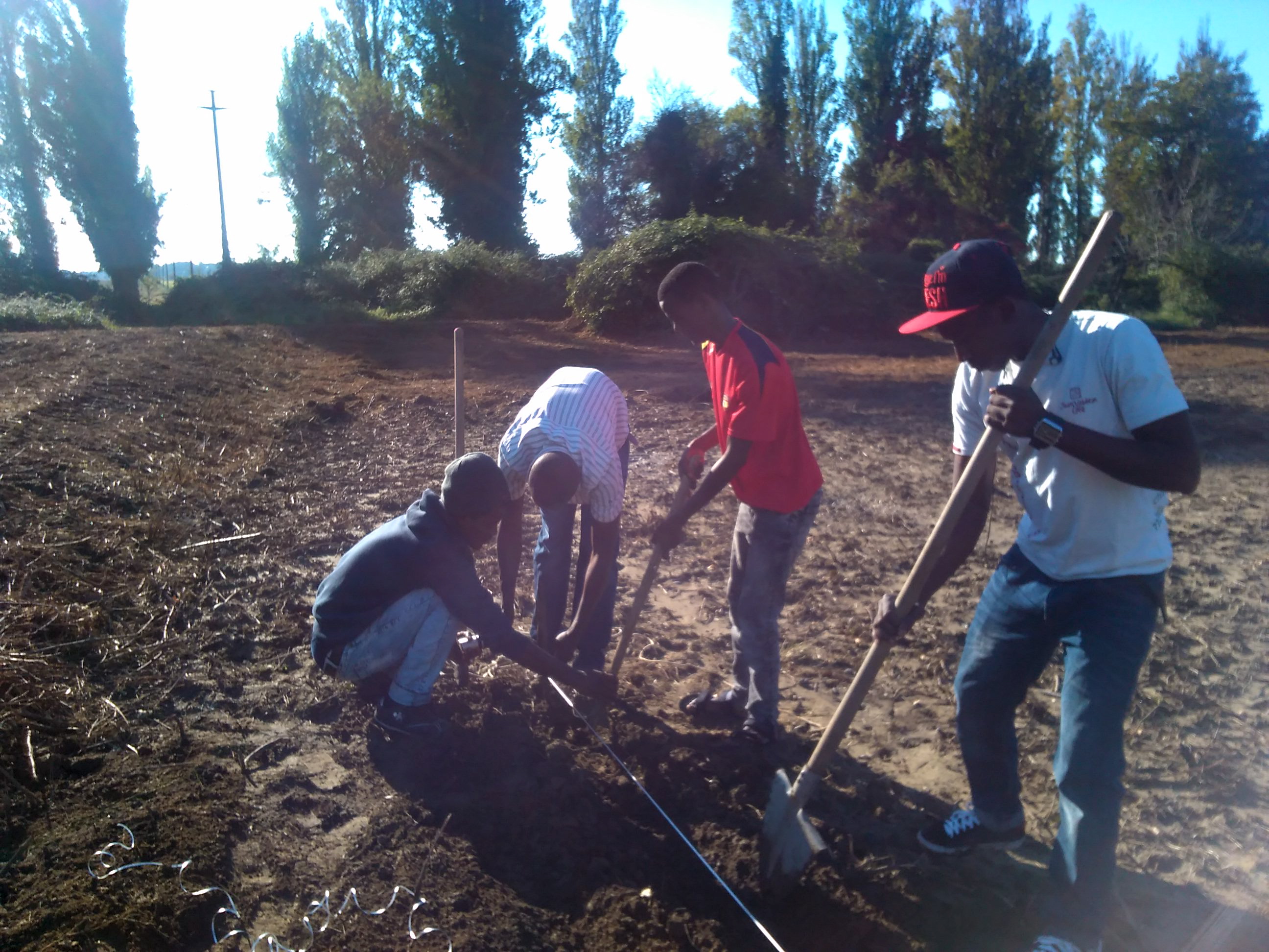 IMG 20151019 155147