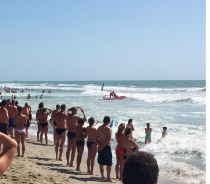 mar mosso salvat
