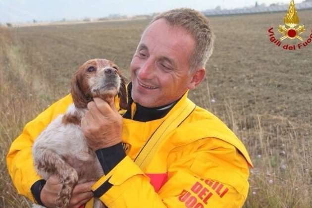 vigili fuoco e cagnolina