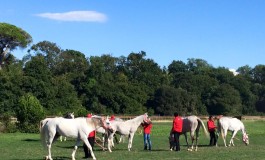 Pisa, nella Tenuta di San Rossore incontro sul tema: “Divagazioni sul viaggio a cavallo”