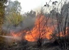 Incendio Monti Pisani, Acque Spa al lavoro per ripristinare il servizio idrico
