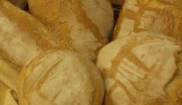 Il pane di san Rossore