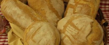 Il pane di san Rossore