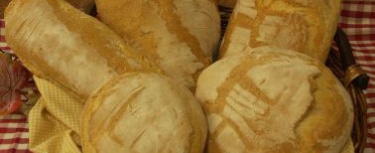 Il pane di san Rossore