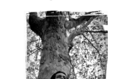 “Lo vidi” libro in free download di Pasquale Cavalera