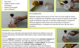 A Calci “La  Primavera della Scienza”