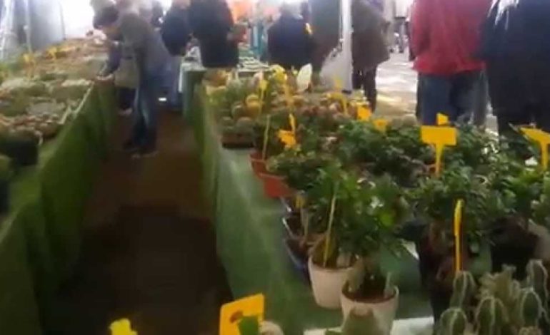 ﻿Settimana delle Piagge – Fiera di Sant’Ubaldo: le modifiche al traffico previste per la manifestazione