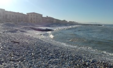 Marina di Pisa, cambia la viabilità per “Tuffo di Befana”