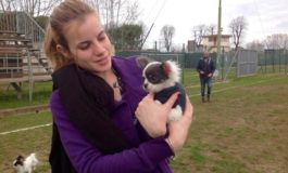 Maxi evento per cani di piccola taglia