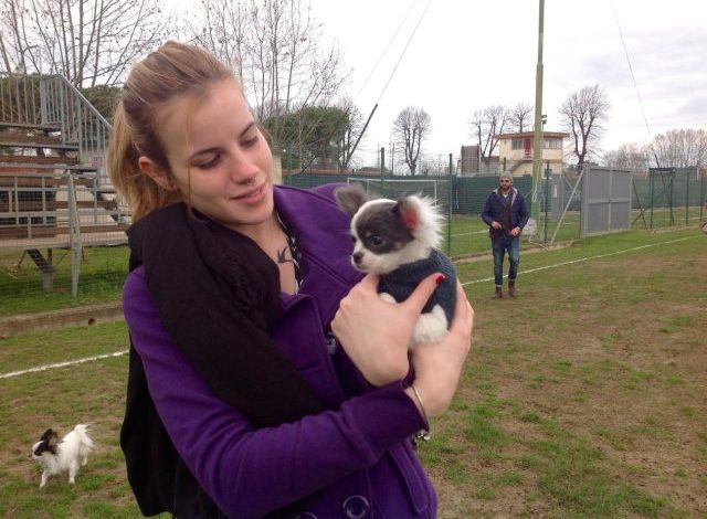 Maxi evento per cani di piccola taglia