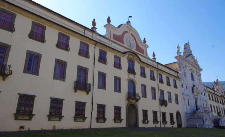 Damiano Marchi è il nuovo direttore del Museo di Storia Naturale di Calci