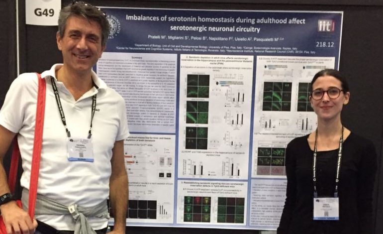 La molecola della felicità è essenziale per “preservare” i circuiti neuronali del cervello