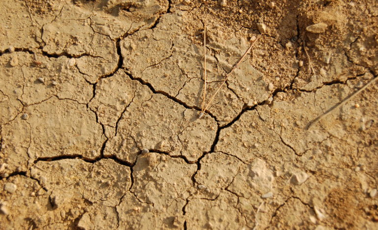 Siccità, agricoltori in ginocchio. Confagricoltura: “La Regione intervenga al più presto”