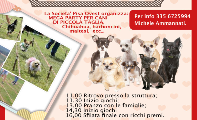 Pisa, a Porta a Mare il Mega Party dedicato ai cani di piccola taglia