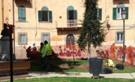 Pisa, Piazza Cavallotti si fa bella per la primavera