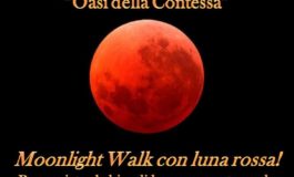 Venerdì 27 luglio Moonlight Walk con Luna Rossa alla Riserva Oasi della Contessa