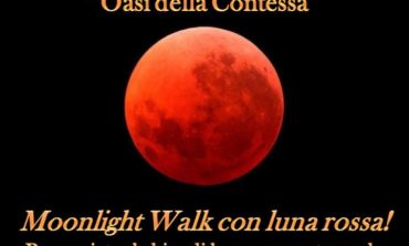 Venerdì 27 luglio Moonlight Walk con Luna Rossa alla Riserva Oasi della Contessa