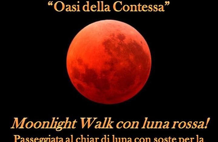 Venerdì 27 luglio Moonlight Walk con Luna Rossa alla Riserva Oasi della Contessa