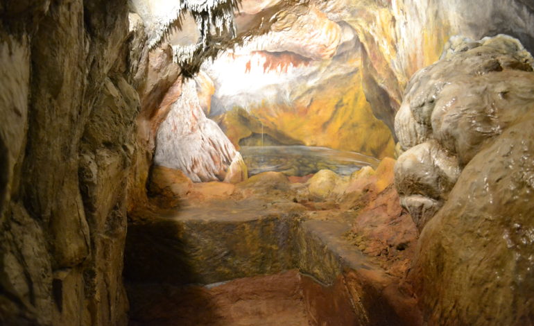 Museo di Storia Naturale: inaugurazione del nuovo allestimento “Grotta del Leone, l’uomo preistorico sul Monte Pisano”