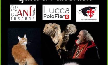 Torna a Lucca l'Esposizione Internazionale Felina, sotto l’egida di ANFI e Fife