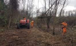 Pisa, per il Parco urbano di Cisanello partiti i lavori di bonifica