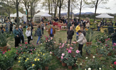 Lucca, Mostra Mercato del giardinaggio e del vivere all’aria aperta
