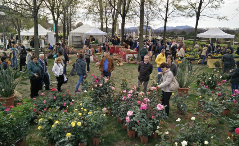 Lucca, Mostra Mercato del giardinaggio e del vivere all’aria aperta