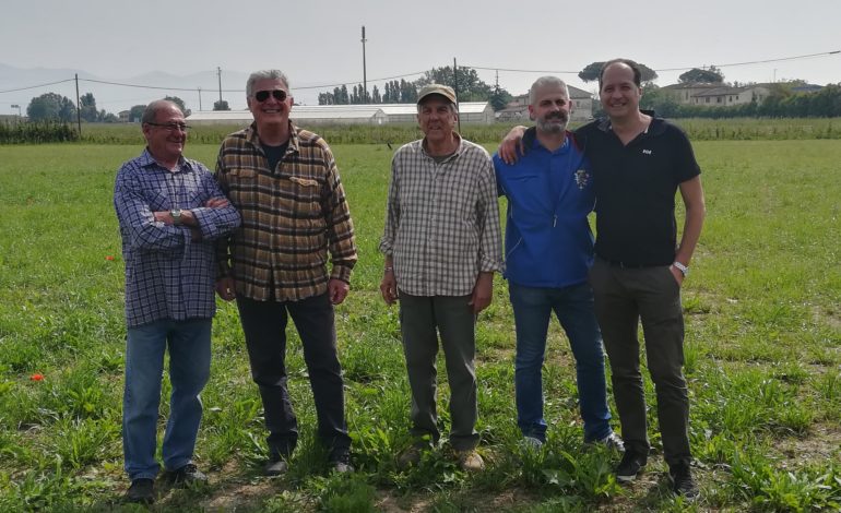 Nuova location per la Sagra del pinolo di San Piero a Grado