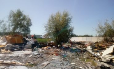 Colonia felina a Oratoio, l’intervento dell’Ufficio Ambiente e Animali del Comune di Pisa