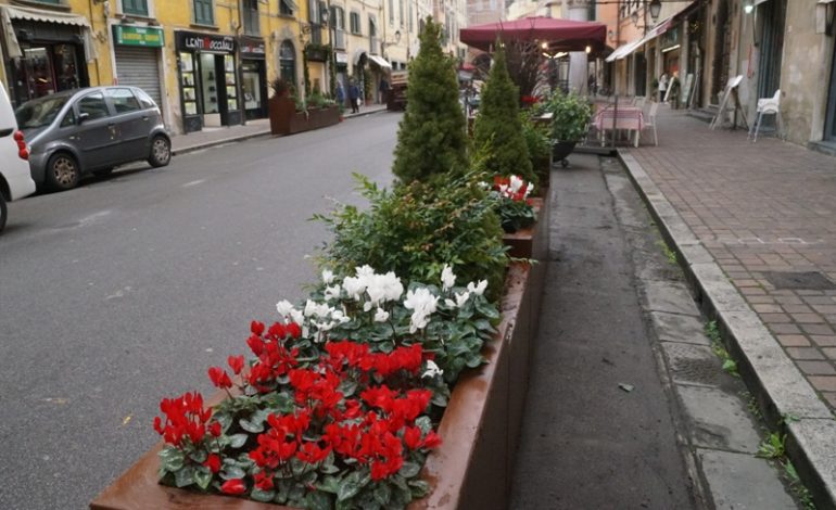 Decoro urbano, installate le nuove fioriere in Borgo Largo