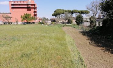 Un ettaro di terreno, per il nuovo Bioparco di Cascina