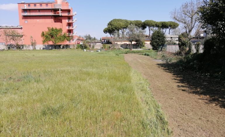 Un ettaro di terreno, per il nuovo Bioparco di Cascina