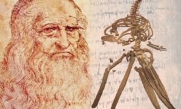 Non un mostro marino, ma un fossile di cetaceo: svelato il mistero della balena di Leonardo