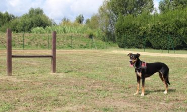 Verde urbano, nuova area sgambatura a Riglione