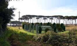 Piano del Parco, interviene il Comitato per la difesa di Coltano