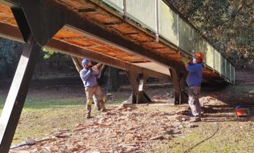 Parco di Migliarino San Rossore Massaciuccoli: lavori in corso per 1,3 milioni di euro