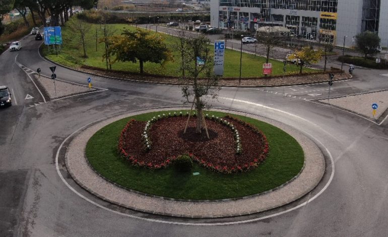 Completate le opere a verde della nuova rotatoria tra l’Aurelia e via Darsena