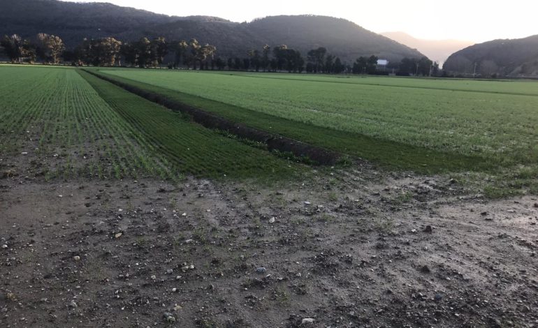 Con “PHUSICOS” si studiano nuove soluzioni per il recupero ambientale del lago di Massaciuccoli