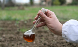 Le virtù del distillato di legno per aumentare la fertilità del terreno