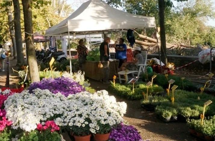 Festa di Sant’Ubaldo, torna la Fiera degli fiori sul viale delle Piagge