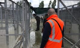 Sopralluogo congiunto al canile “Soffio di vento” di Ospedaletto