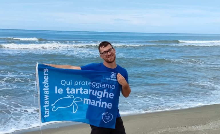 Tartaruga: ecco il tratto di spiaggia di San Rossore idoneo alla nidificazione