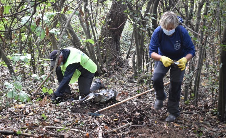 Alberi al posto dei rifiuti, il progetto pisano fa scuola