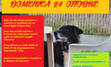 Domenica 24 ottobre festa al canile intercomunale Soffio di Vento