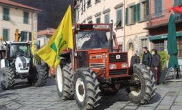 La Giornata Interprovinciale del Ringraziamento si celebra quest’anno a Ponsacco