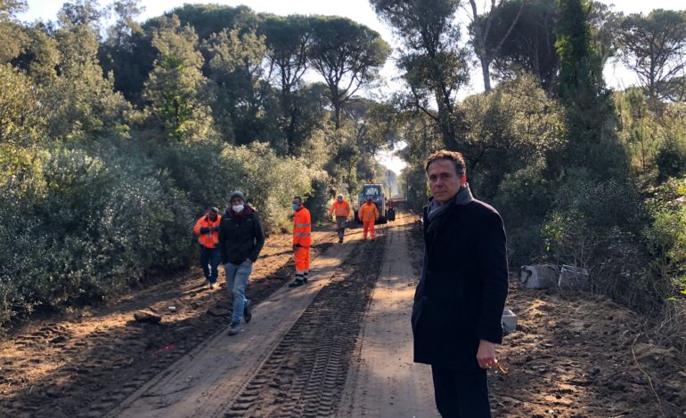 ﻿Ciclopista del Trammino a Pisa, in corso i lavori per il prolungamento del percorso fino a Tirrenia