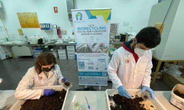 ﻿I rifiuti plastici del packaging industriale diventano cibo per insetti